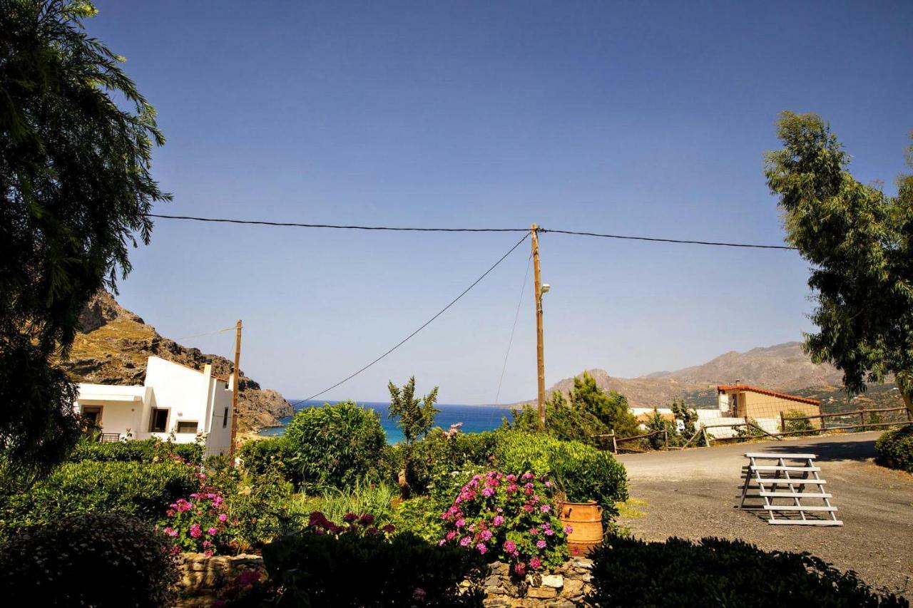 Artemis Studios Plakias Luaran gambar
